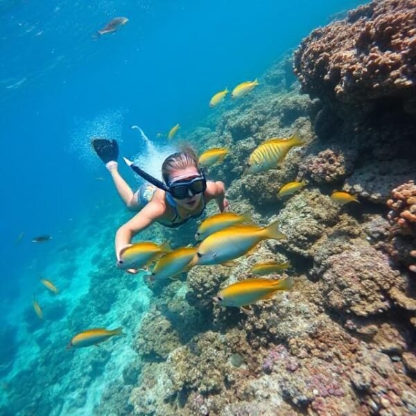 Cozumel Reef Snorkeling Adventure - 3 Hours - Small Group
